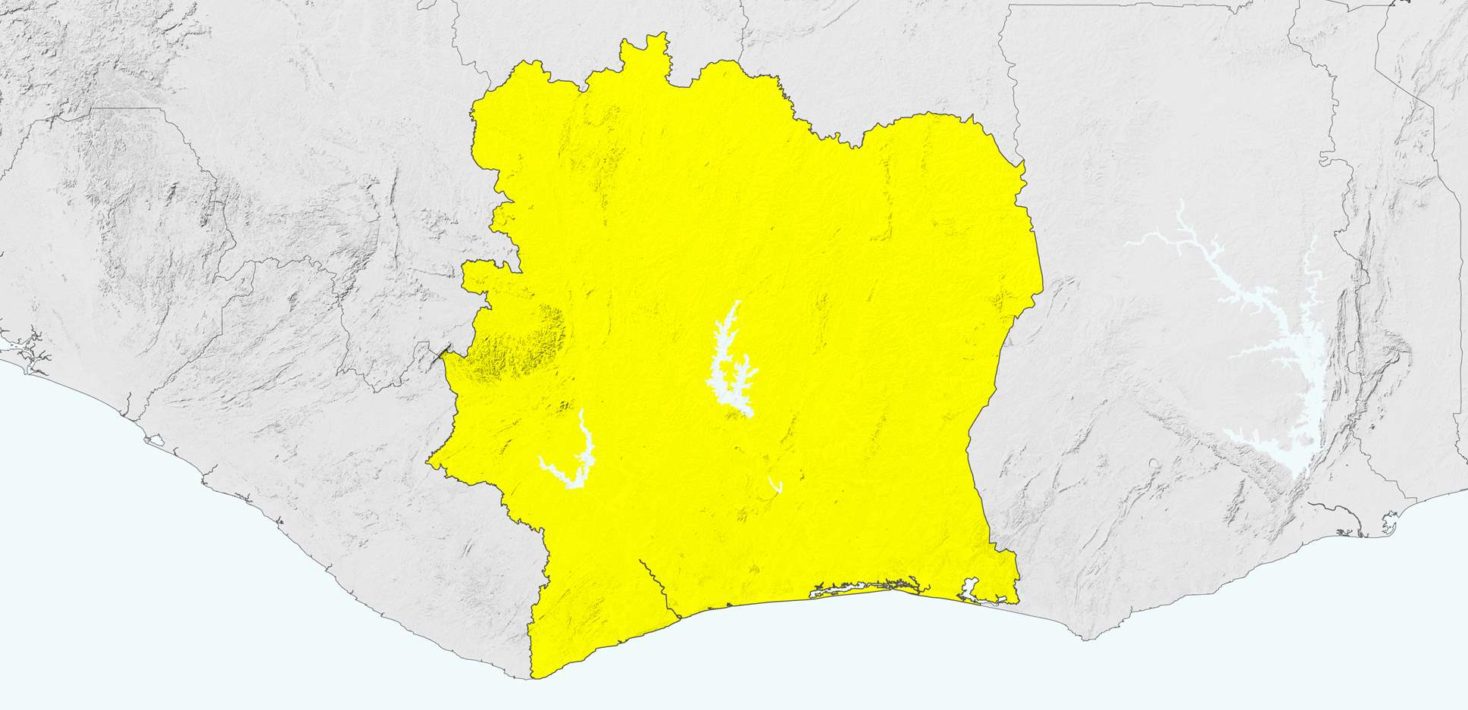 [Droits humains sous tension] Le cri d’alerte d’Amnesty à six mois de la présidentielle ivoirienne