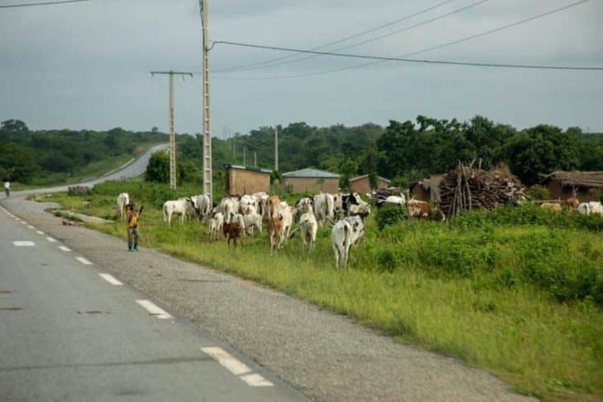 [Bounkani, terre de fractures] Quand pauvreté et tensions ethniques alimentent l’extrémisme violent
