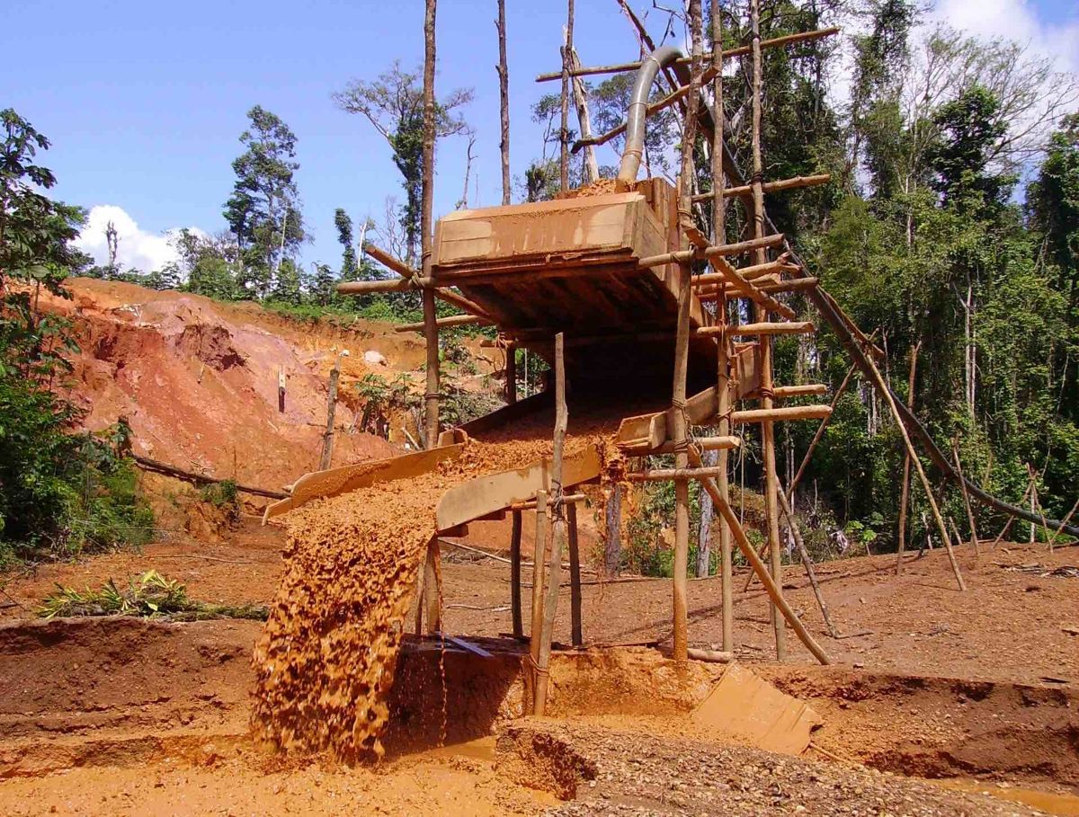 [Procès de l’orpaillage illégal] Prison ferme et amendes record pour les cerveaux du réseau sino-ivoirien