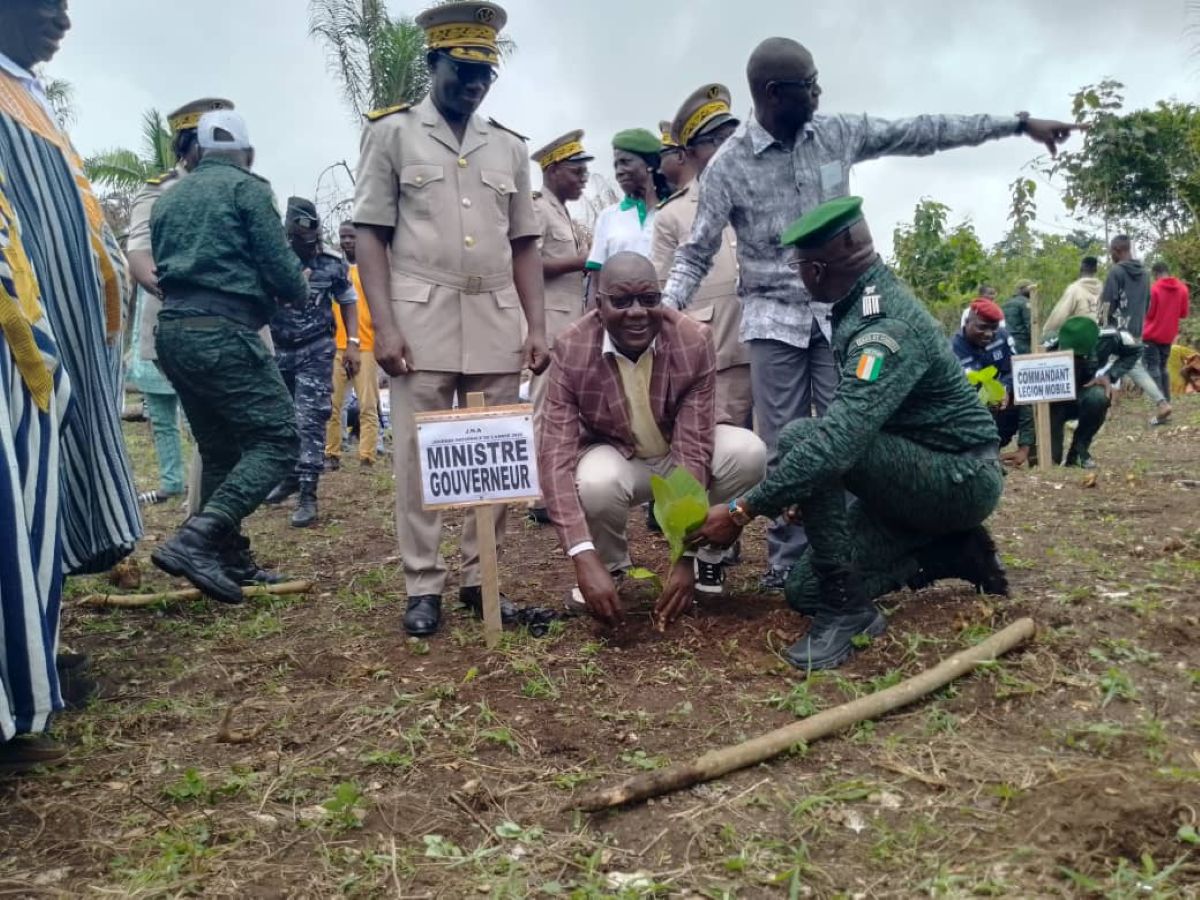 [Tonkpi---Journée nationale de l’arbre 2025] Le reboisement avance à grands pas à Man