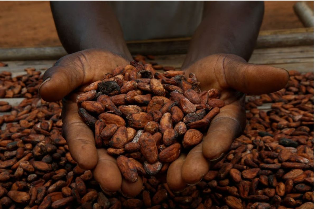 [Cacao en Côte d’Ivoire] Dr. Don-Mello interroge sur l'utilisation des fonds de réserve