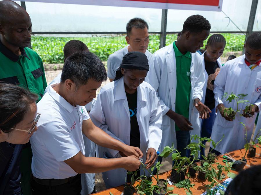 [Chine 15e plan quinquennal] Innovation et transition verte