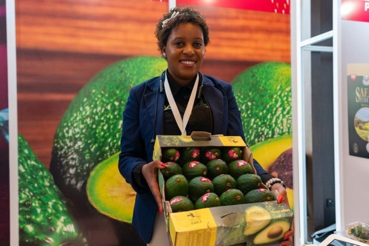 [La politique tarifaire zéro de la Chine] Une nouvelle ère pour le commerce africain